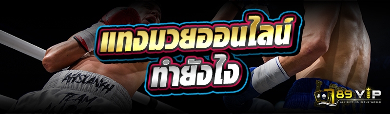 แทงมวยออนไลน์ ทำยังไง